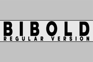 Bibold: A Strong Sans Serif Font for Makers