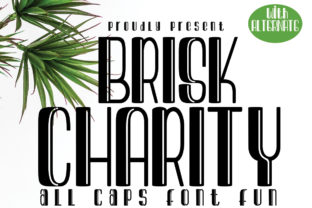 Brisk Charity: A Friendly Handwritten Typeface for Modern Editors