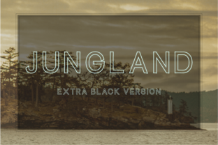 Jungland Outline Extra Black Typeface for Branding