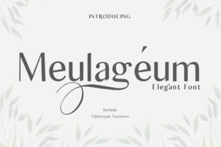 Meulageum Typeface for Elegant Branding