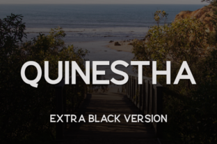 Quinestha Extra Black: Bold Sans Serif Review