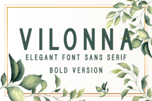 Vilonna Bold: The Ultimate Mid-Century Sans Serif for Modern Branding