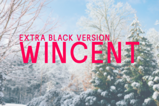Wincent Extra Black Typeface for Crafters