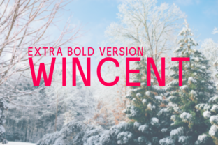 Wincent Extra Bold Typeface for Campaigns