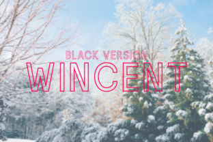 Wincent Outline Black Typeface Review