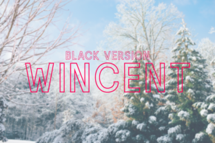 Wincent Outline Extra Black Typeface for Branding